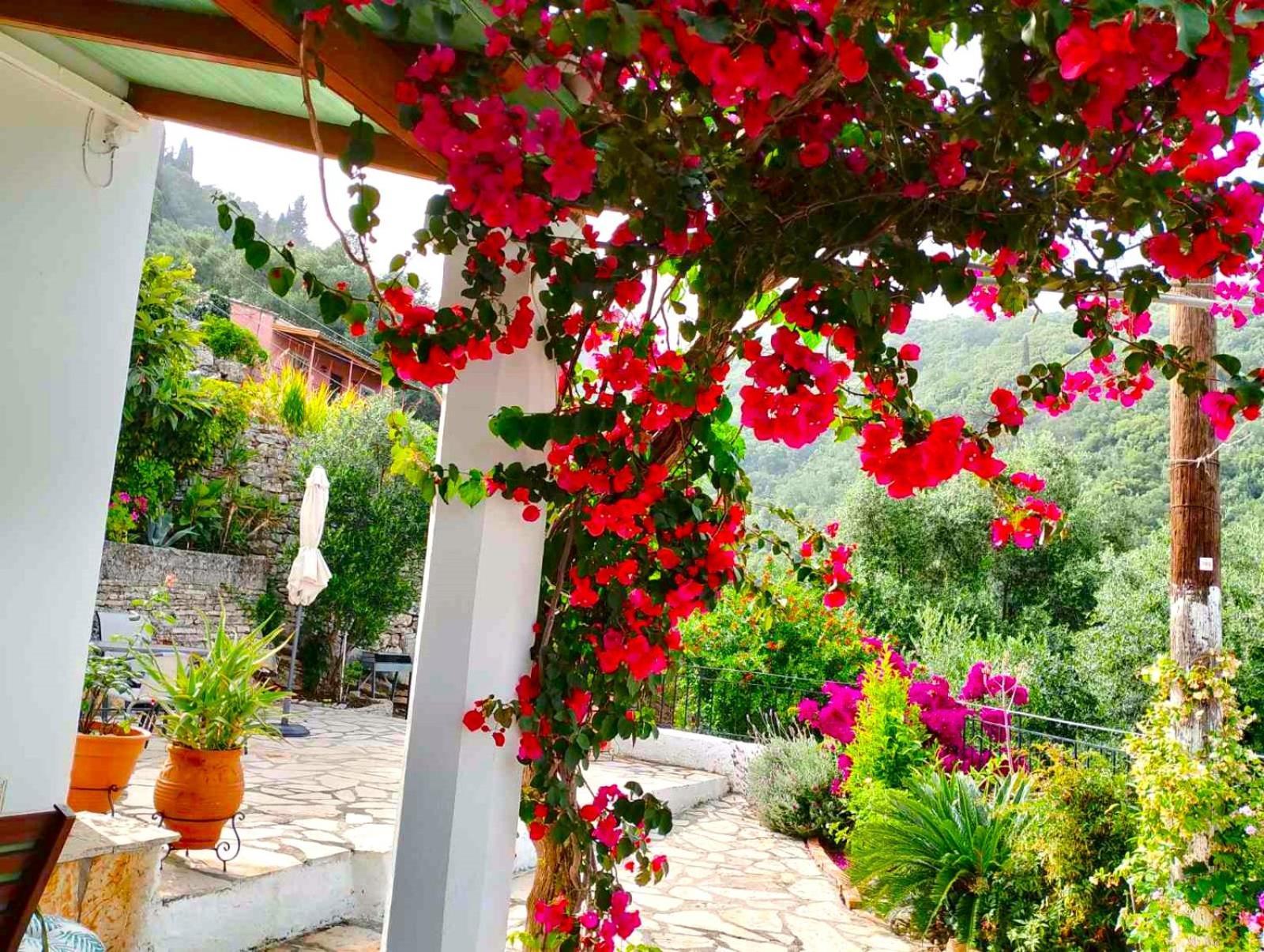 Fior Di Corfu Villa Kalami  Exterior foto